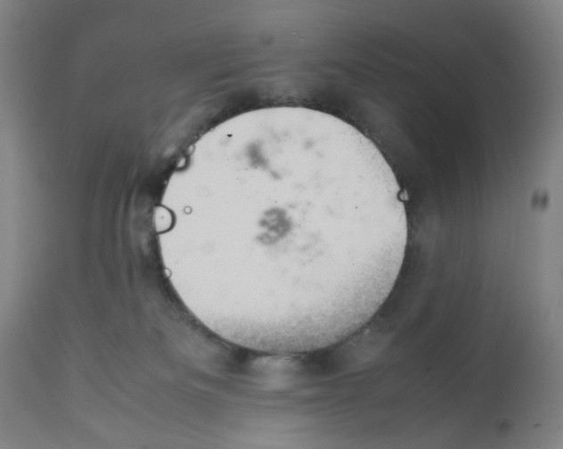 X0000112370133200909241159