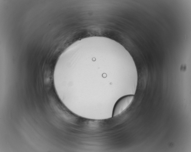 X0000112370134200909241159