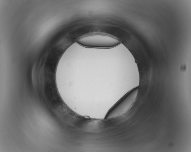 X0000112370140200909241159
