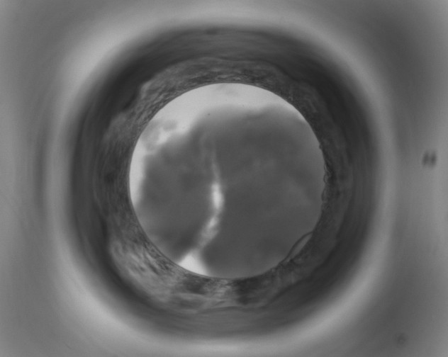X0000112370143200909241159
