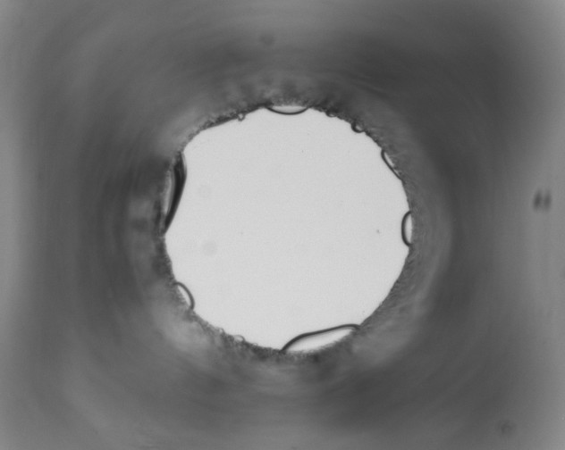 X0000112370144200909241159