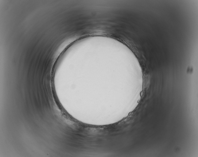 X0000112370147200909241158