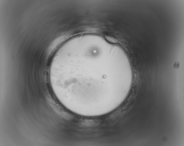 X0000112370149200909241158