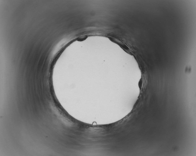 X0000112370150200909241158