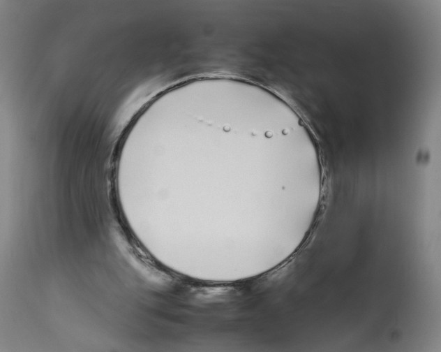 X0000112370151200909241158