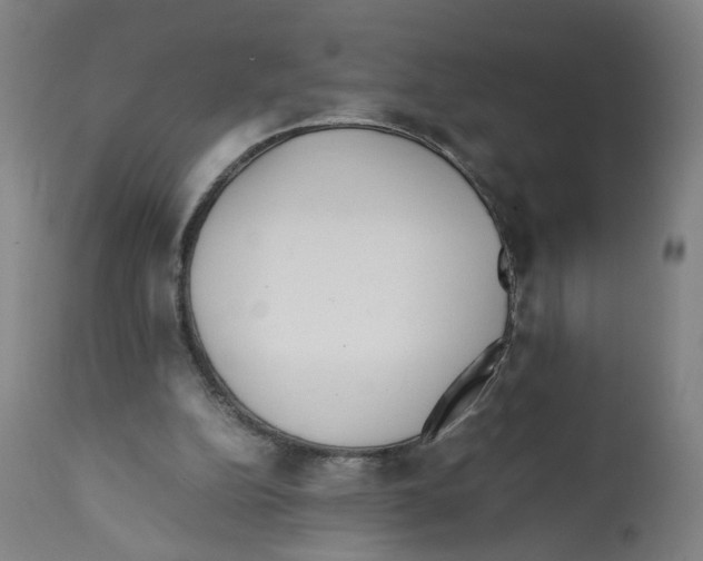 X0000112370152200909241158