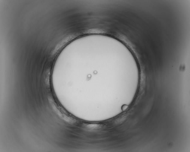 X0000112370153200909241158
