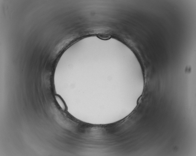 X0000112370154200909241158