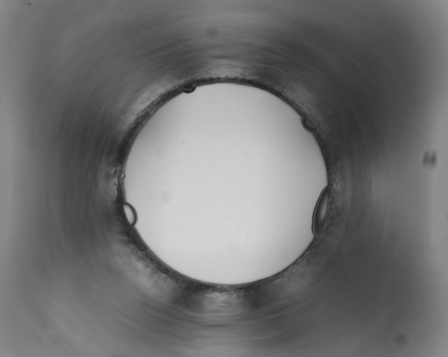 X0000112370160200909241158