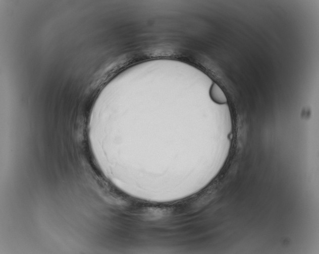 X0000112370161200909241158