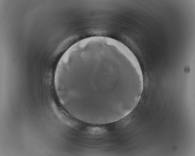 X0000112370163200909241158