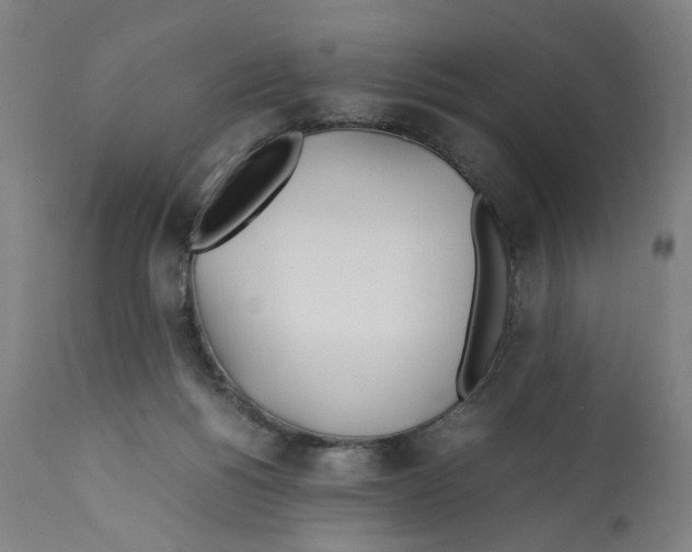 X0000112370168200909241158