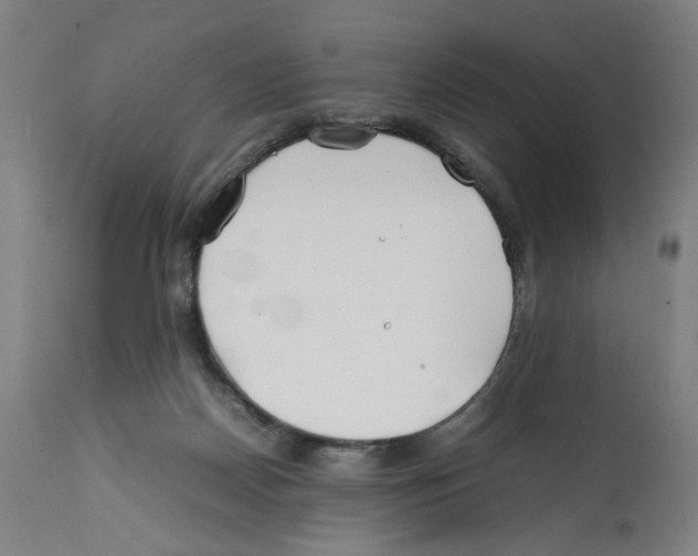 X0000112370170200909241158