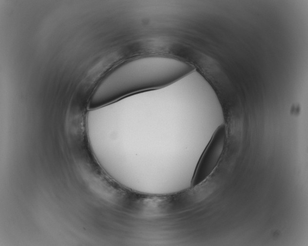 X0000112370172200909241158