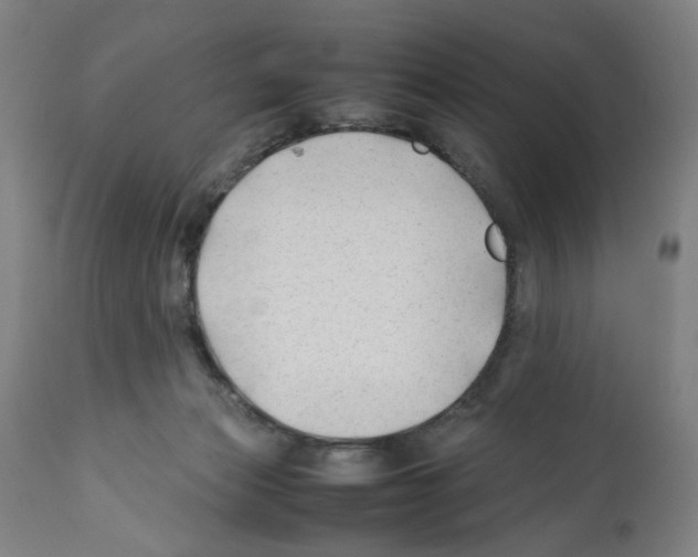 X0000112370173200909241158