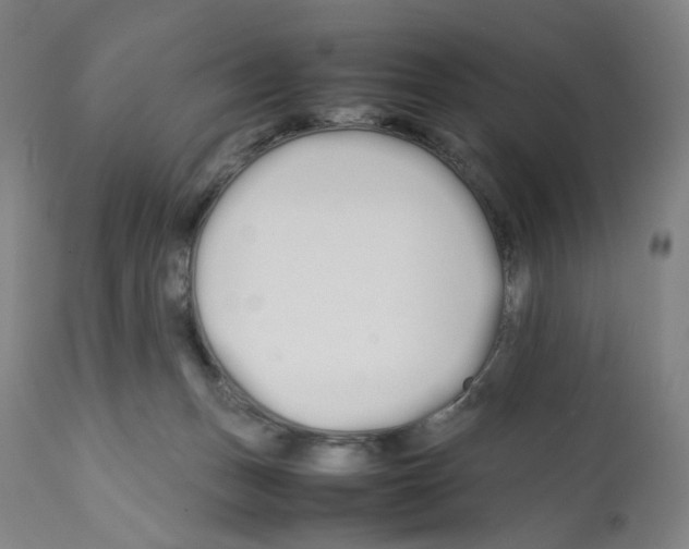 X0000112370175200909241158