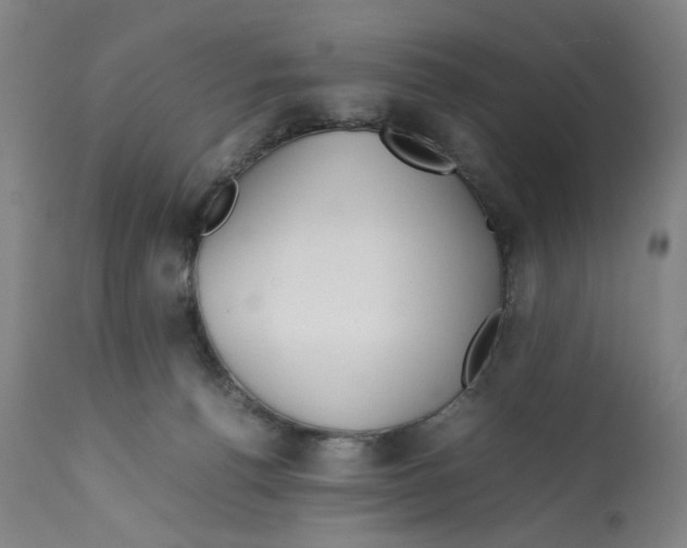 X0000112370176200909241158