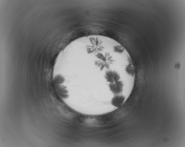 X0000112370177200909241158