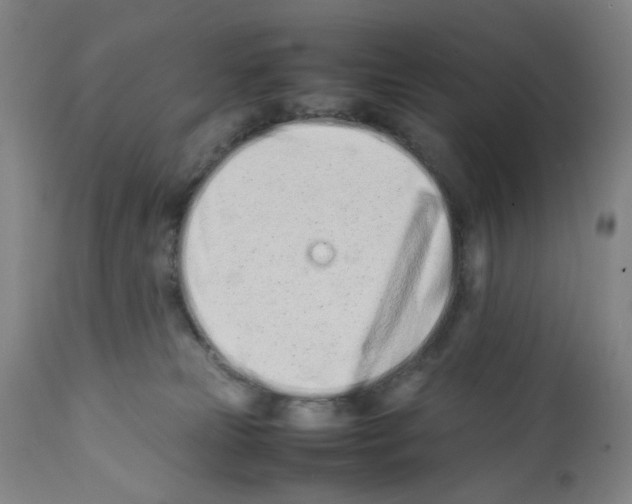 X0000112370181200909241158