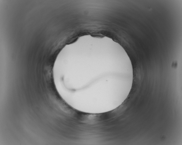 X0000112370184200909241159
