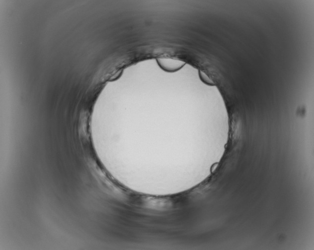 X0000112370185200909241159