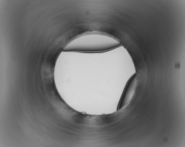 X0000112370186200909241159