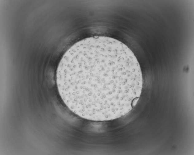 X0000112370187200909241159