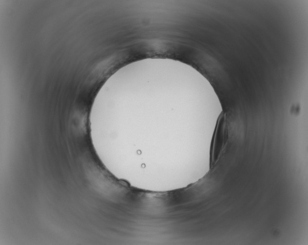 X0000112370188200909241159