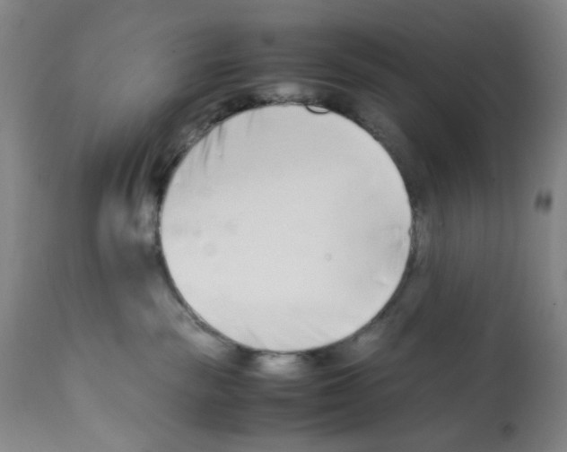 X0000112370189200909241159