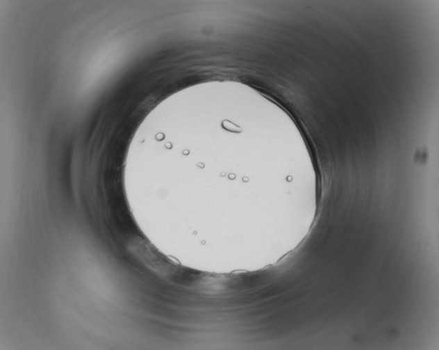 X0000112370190200909241159