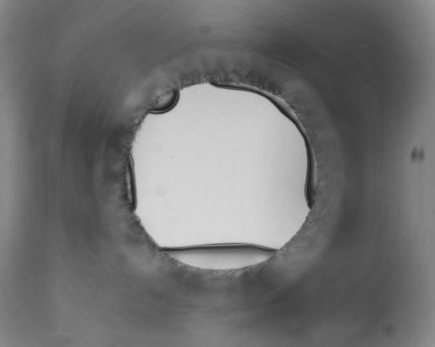 X0000112370192200909241159