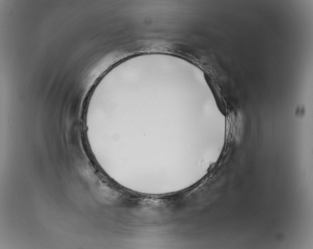 X0000112370195200909241158