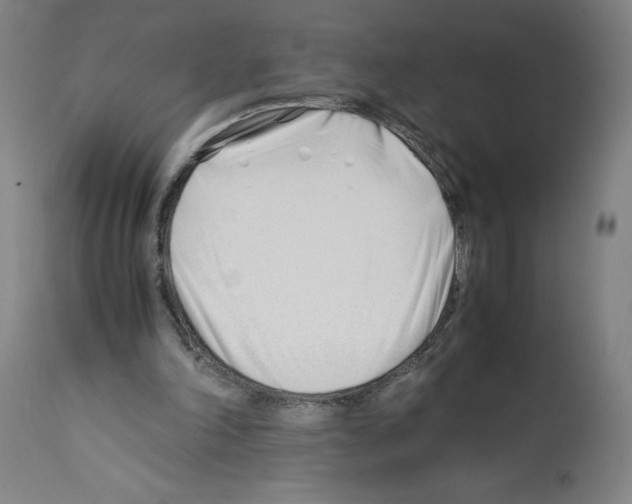 X0000112370198200909241158