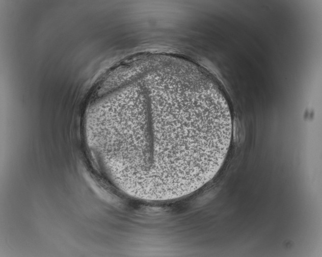 X0000112370205200909241157
