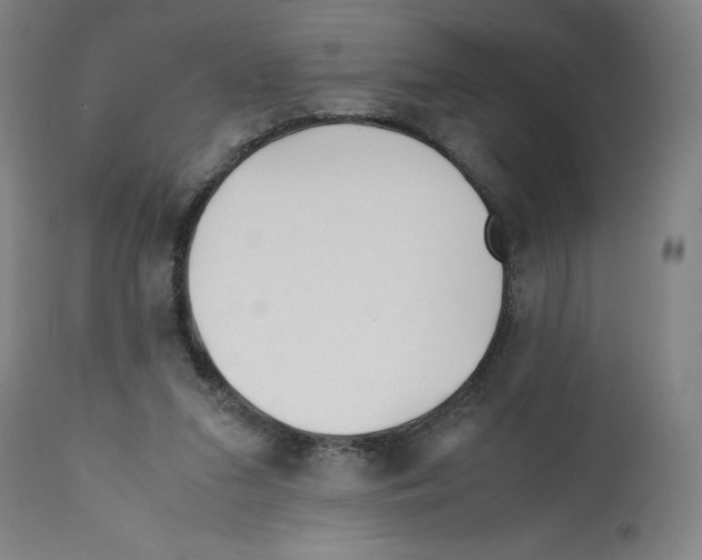 X0000112370207200909241157