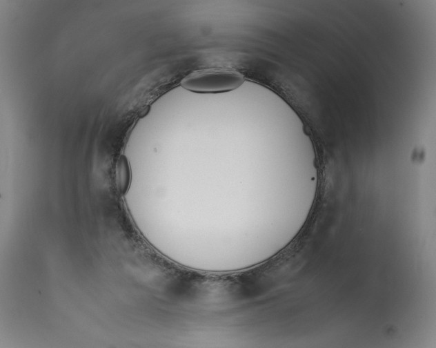 X0000112370209200909241157