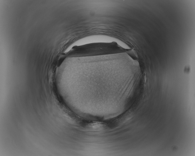 X0000112370219200909241157