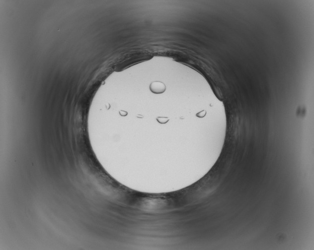 X0000112370220200909241157
