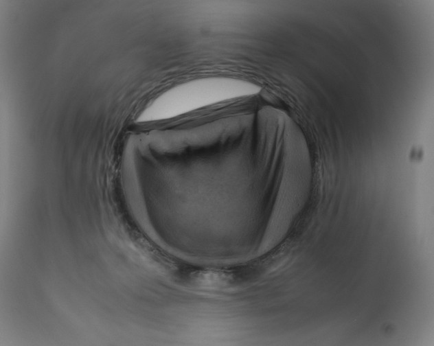 X0000112370223200909241157