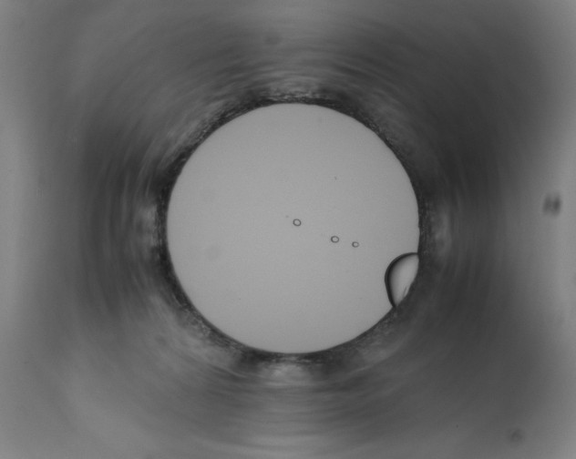 X0000112370224200909241157