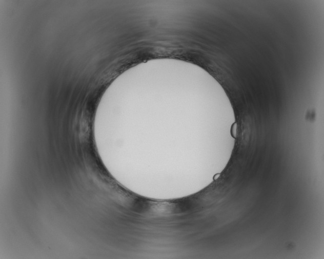 X0000112370226200909241157