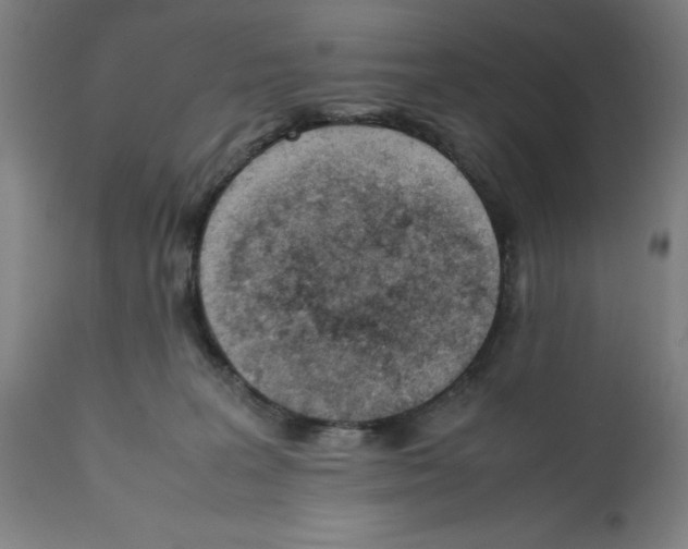X0000112370227200909241157