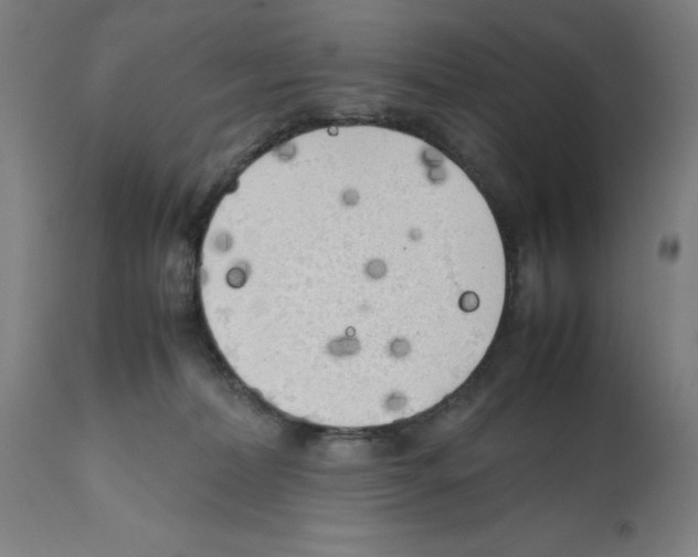 X0000112370228200909241157