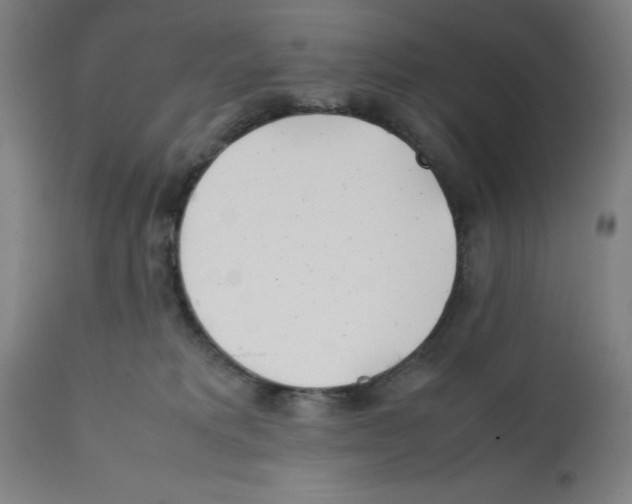 X0000112370229200909241157