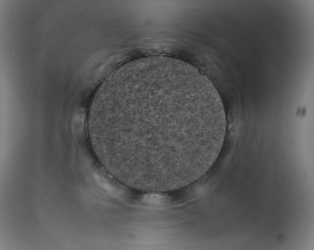 X0000112370231200909241157
