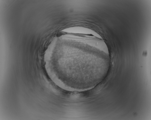 X0000112370235200909241157