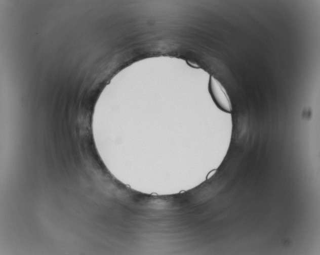 X0000112370236200909241157