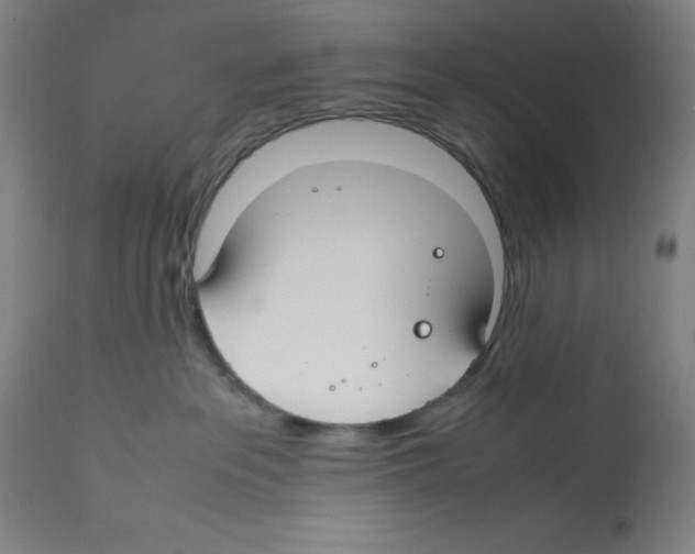 X0000112370237200909241157