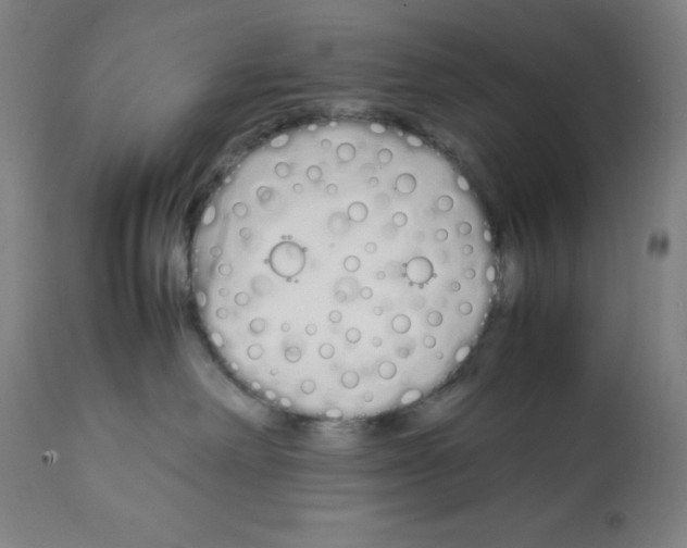 X0000112370238200909241157