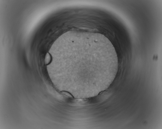 X0000112370239200909241157